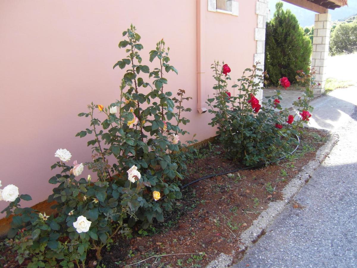 Panorama Askifou Karés Exterior foto